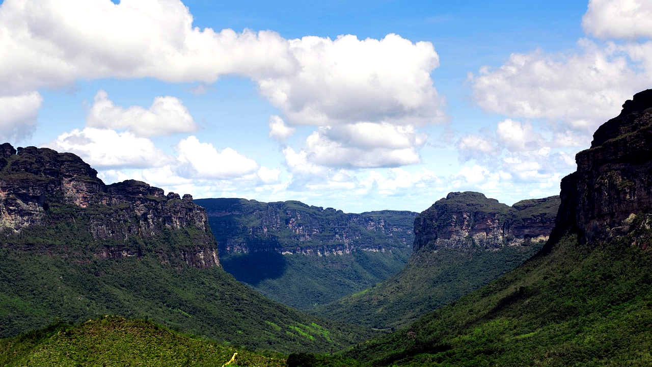 Brazil-inspired illustration for Studying Language Through Brazil&rsquo;s Landscapes and Climate