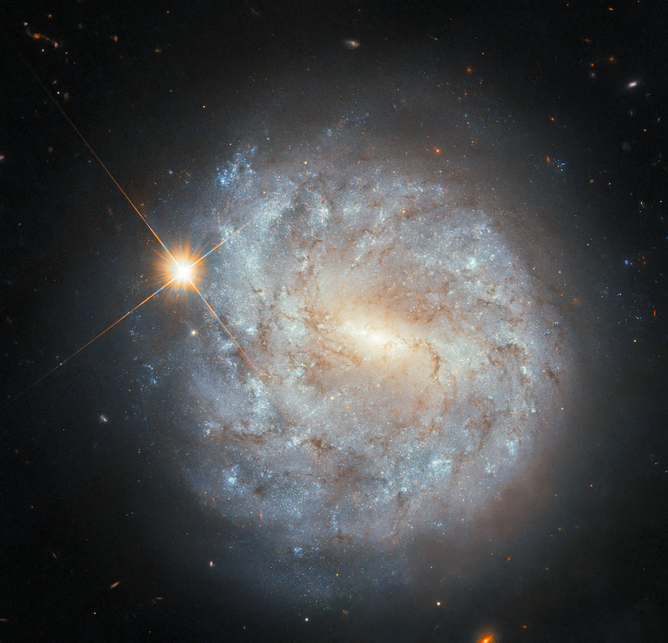 Spiral galaxy visual representing gravity, signal, and stronger business presence.