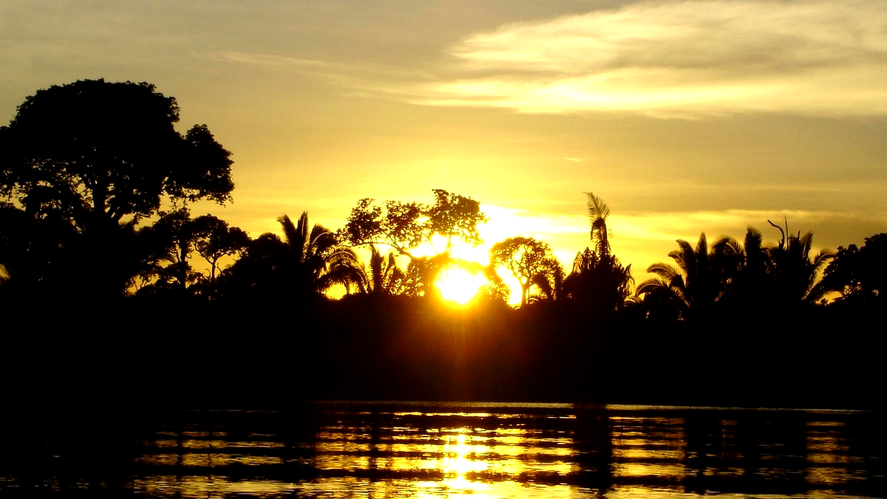 Brazilian culture and landscape detail