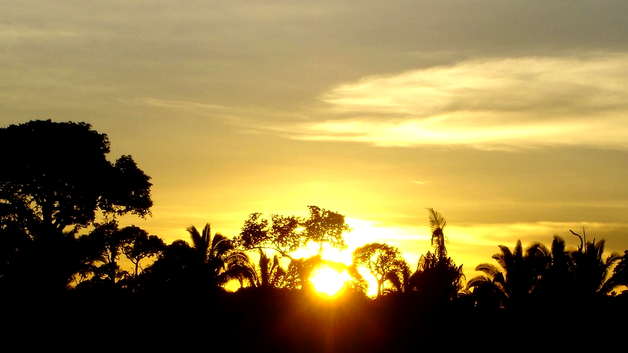Brazilian culture and landscape detail