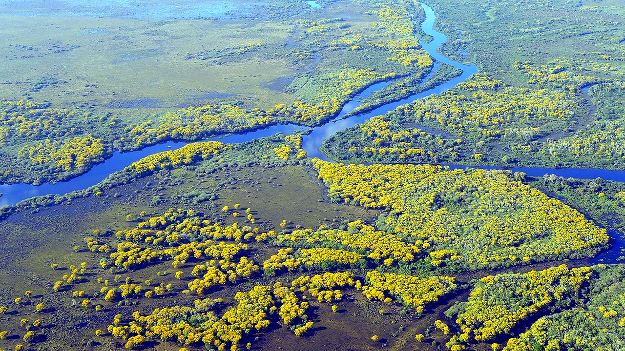 Brazilian culture and landscape detail