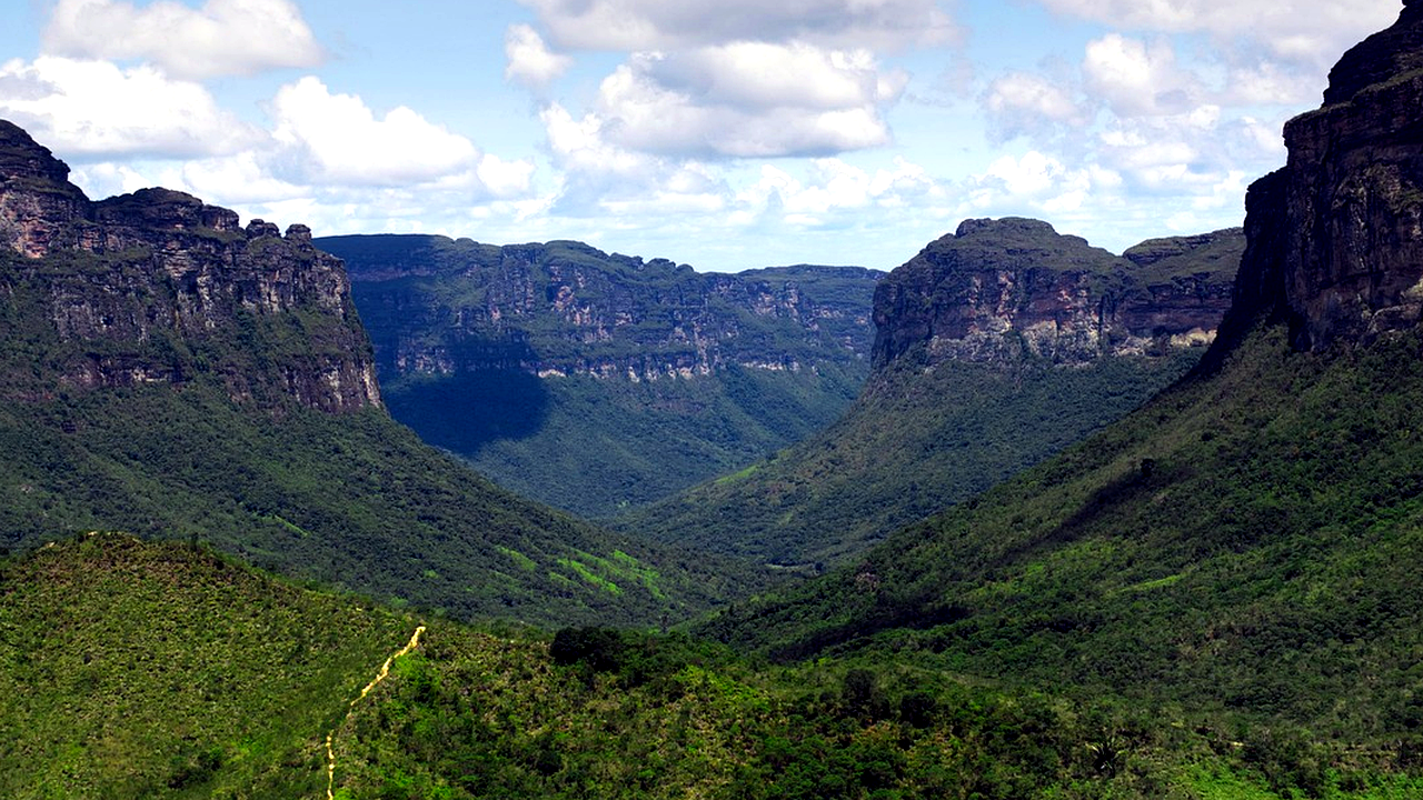 Brazilian culture and landscape detail