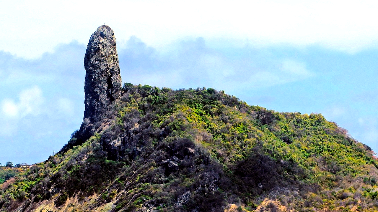 Brazilian culture and landscape detail