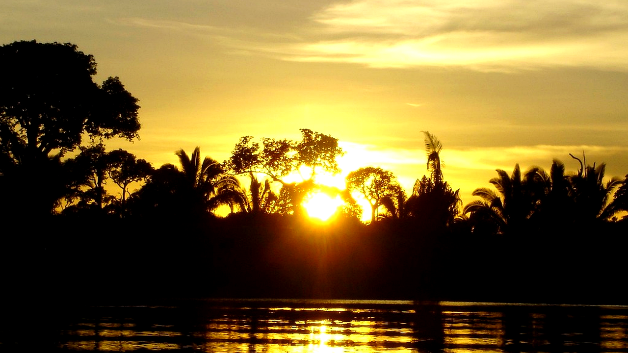Brazilian culture and landscape detail