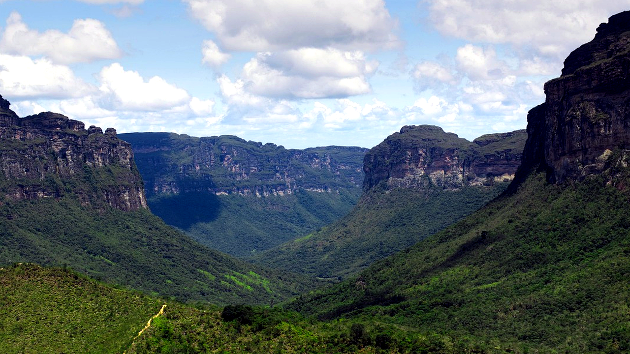 Brazilian culture and landscape detail