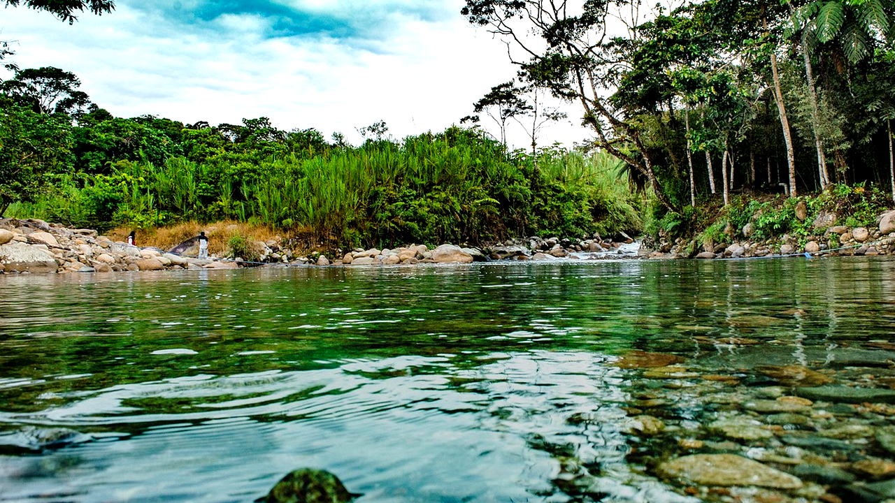 Brazilian culture and landscape detail