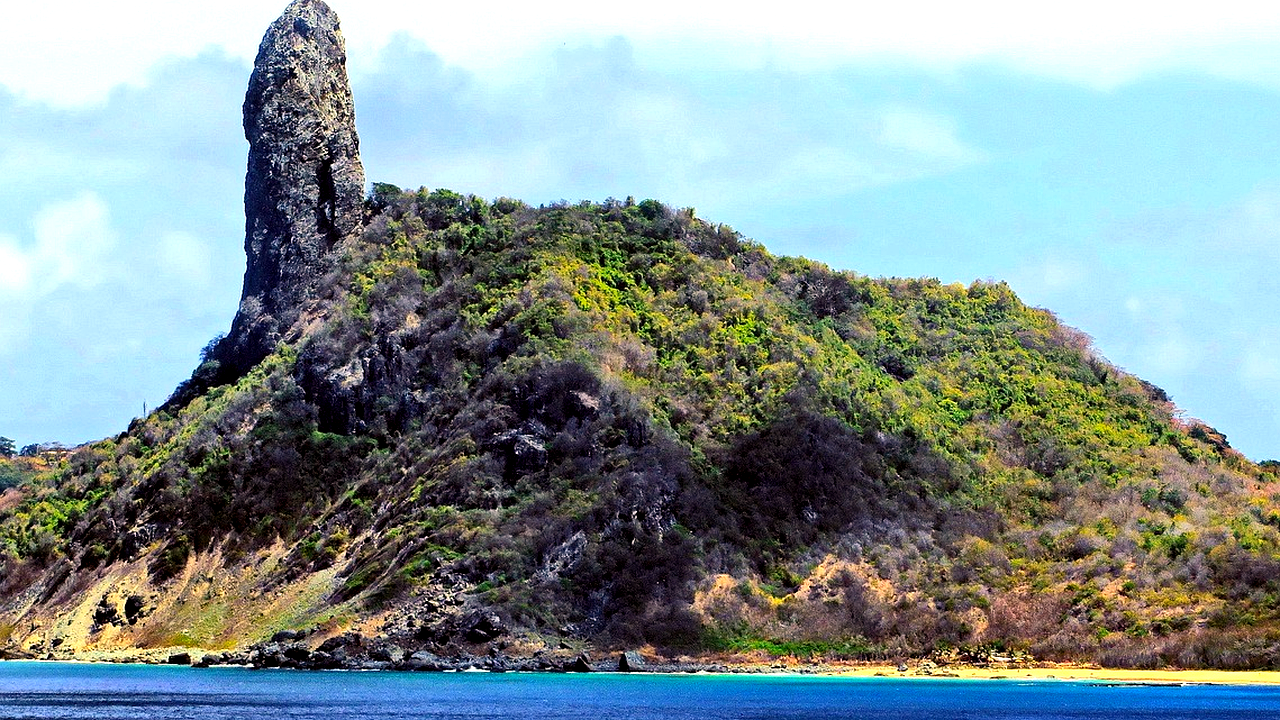 Brazilian culture and landscape detail