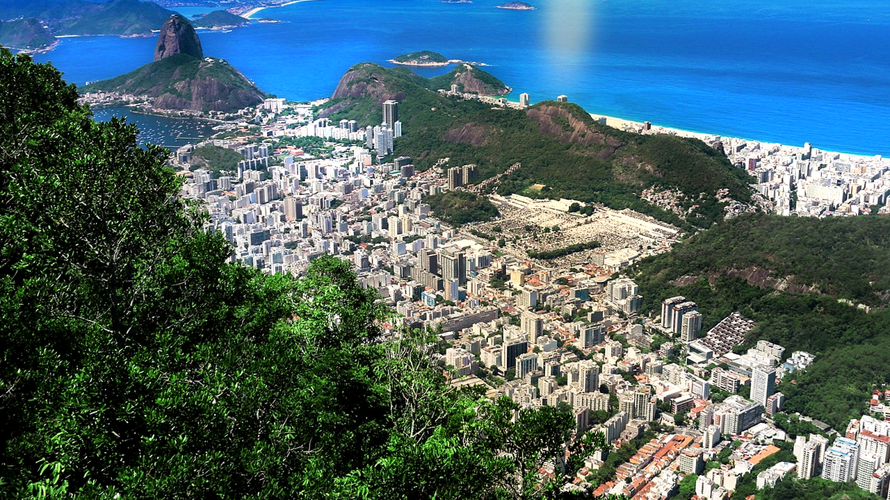 Brazilian culture and landscape detail